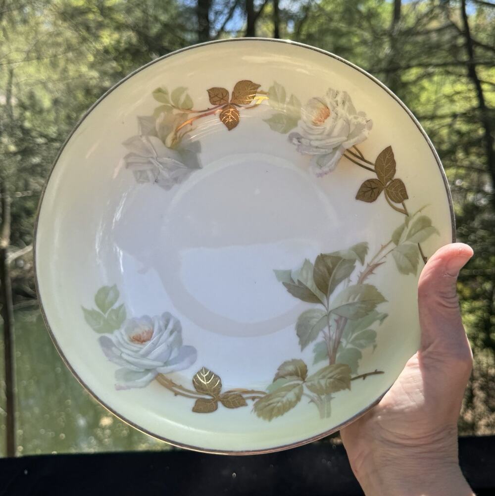 Prussia Royal Rudolstadt Hand Painted Porcelain 10” Bowl 1910 Vintage -A45
